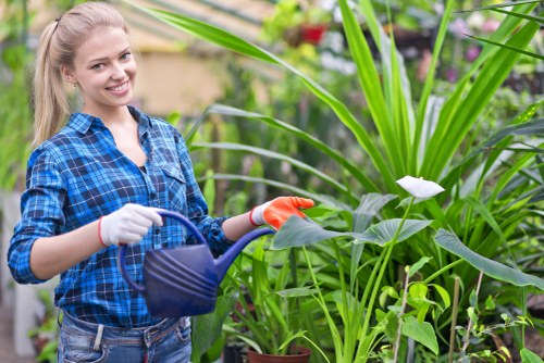 Landscape team using safety equipment during garden work