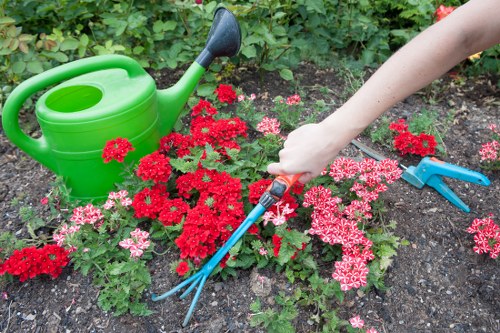 Illustration of cookie consent and website settings for Landscaping Goldersgreen