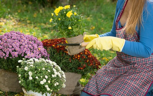 A local garden design consultation and site planning in Goldersgreen