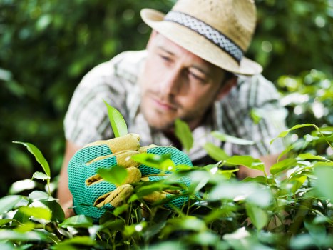 Accepted payment methods for Landscaping Goldersgreen checkout