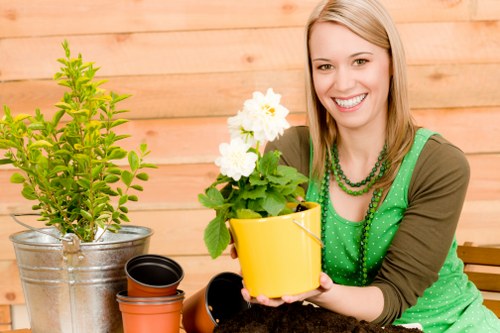 Final safety review for a professional landscaping project
