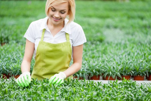 Supplier audit documents and compliance checklist for landscaping procurement